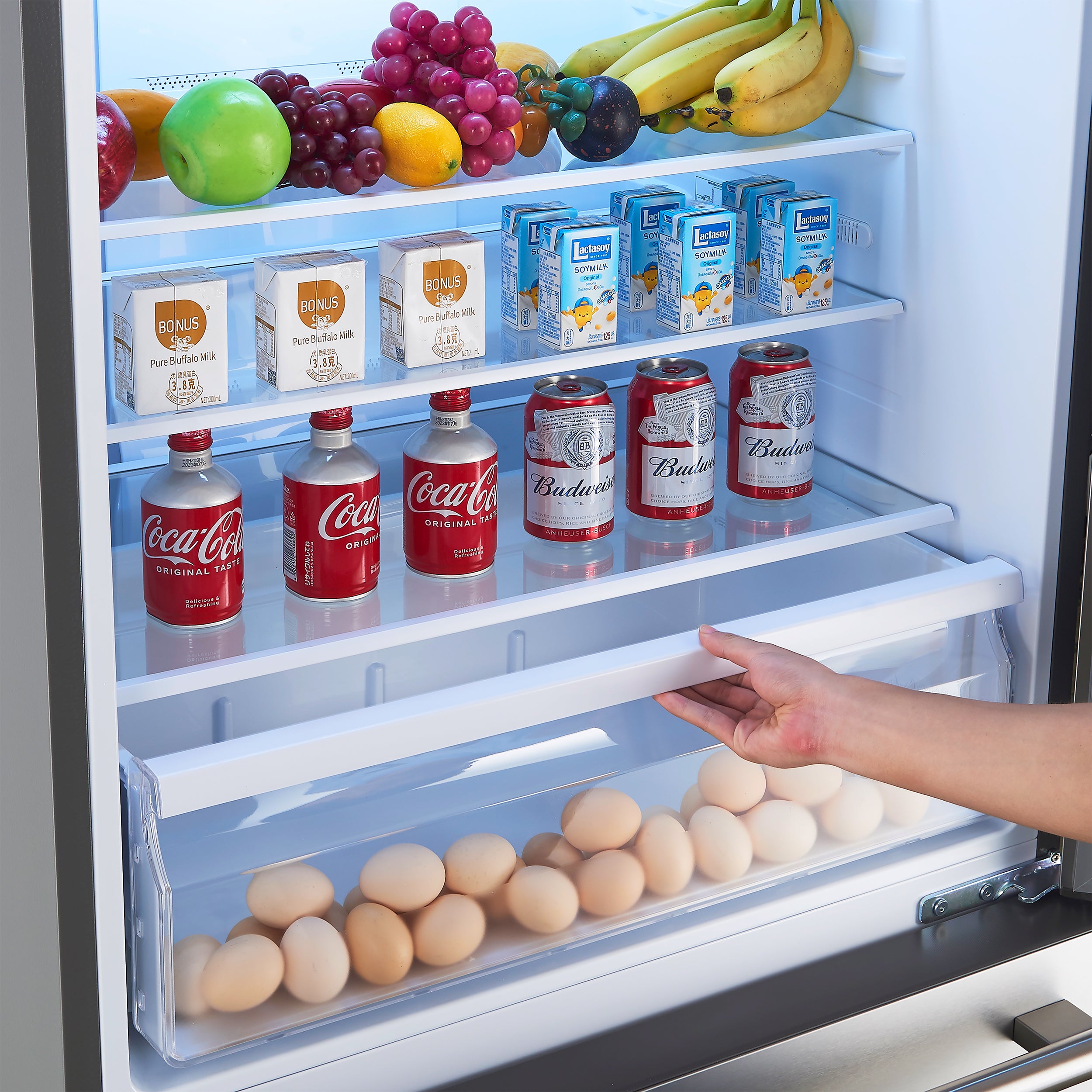 Forno Milano Espresso 31-Inch Bottom Freezer Refrigerator