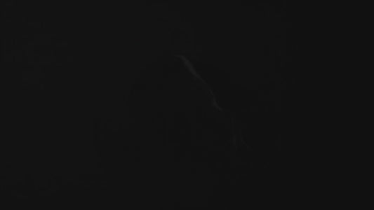 Cuisinière à gaz autonome Forno Galiano de 48 pouces, acier inoxydable, 8 brûleurs, 107 000 BTU, plaque de cuisson, fours doubles, écoénergétique